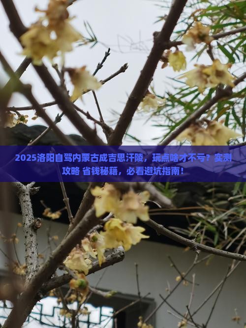 洛阳去内蒙成吉思汗陵哪里玩