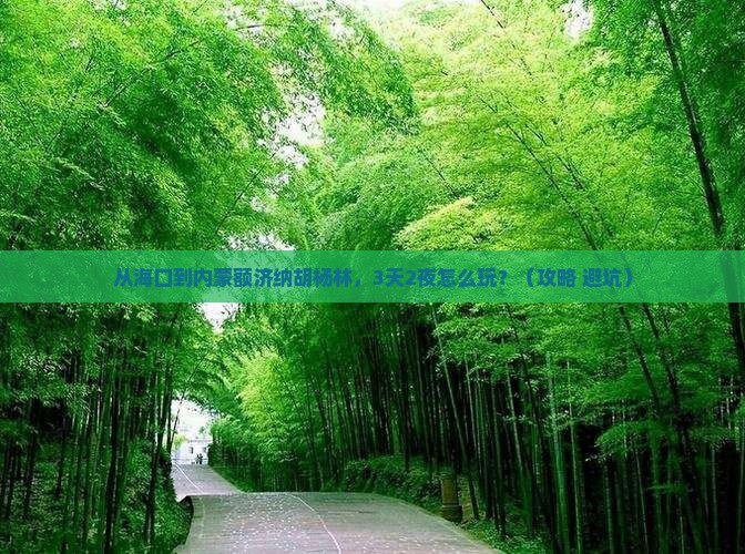 海口去内蒙额济纳胡杨林自由行