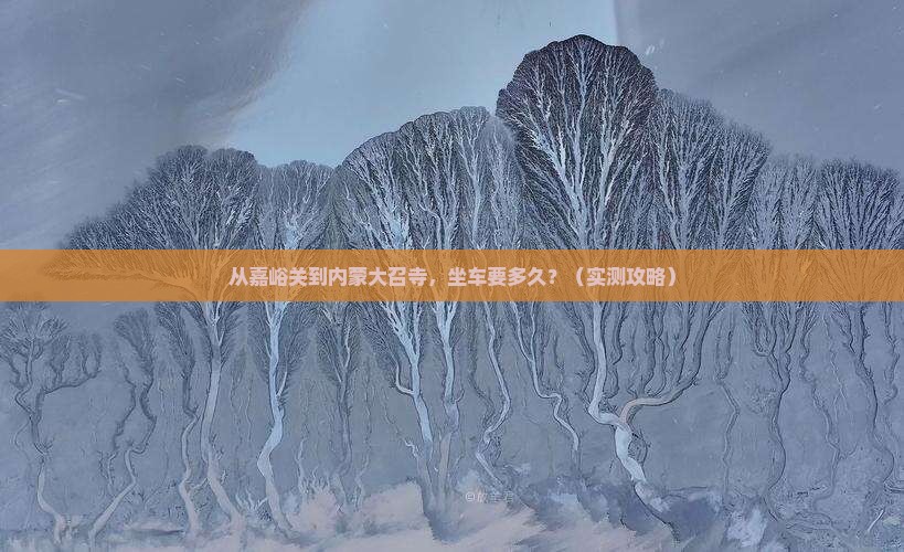 嘉峪关到内蒙大召寺个人游