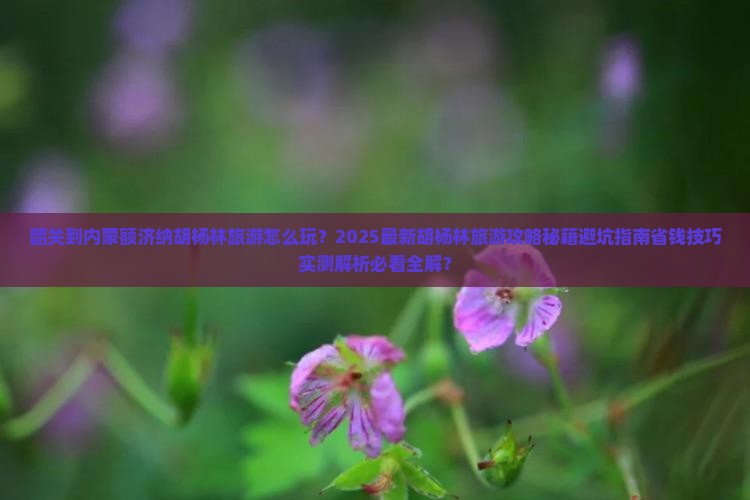 韶关到内蒙额济纳胡杨林旅游
