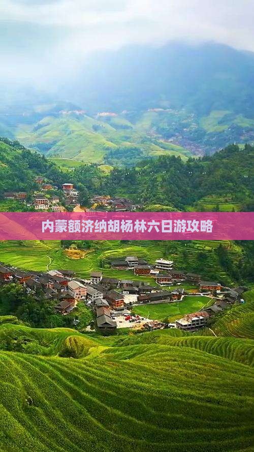 铁岭去内蒙额济纳胡杨林六日游
