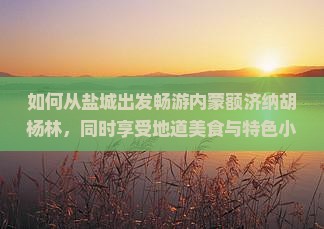 如何从盐城出发畅游内蒙额济纳胡杨林，同时享受地道美食与特色小吃？