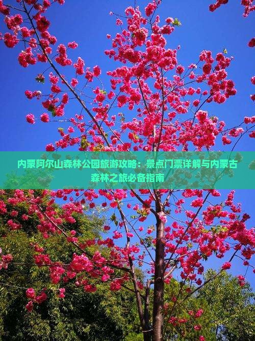 内蒙阿尔山森林公园旅游攻略：景点门票详解与内蒙古森林之旅必备指南