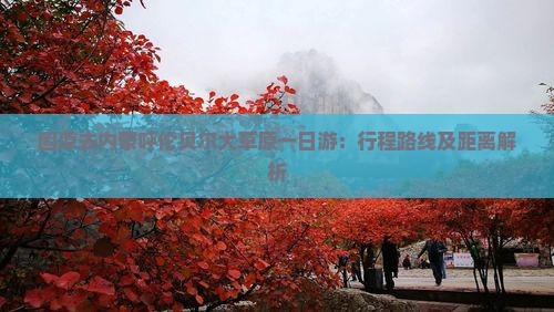 固原去内蒙呼伦贝尔大草原一日游：行程路线及距离解析