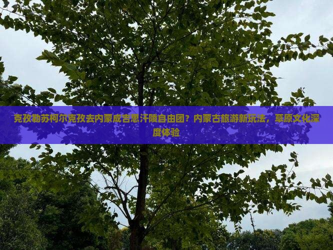 克孜勒苏柯尔克孜去内蒙成吉思汗陵自由团？内蒙古旅游新玩法，草原文化深度体验