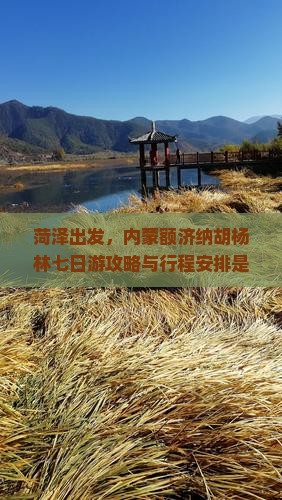 菏泽出发，内蒙额济纳胡杨林七日游攻略与行程安排是怎样的？