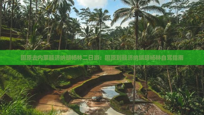 固原去内蒙额济纳胡杨林二日游：固原到额济纳旗胡杨林自驾指南