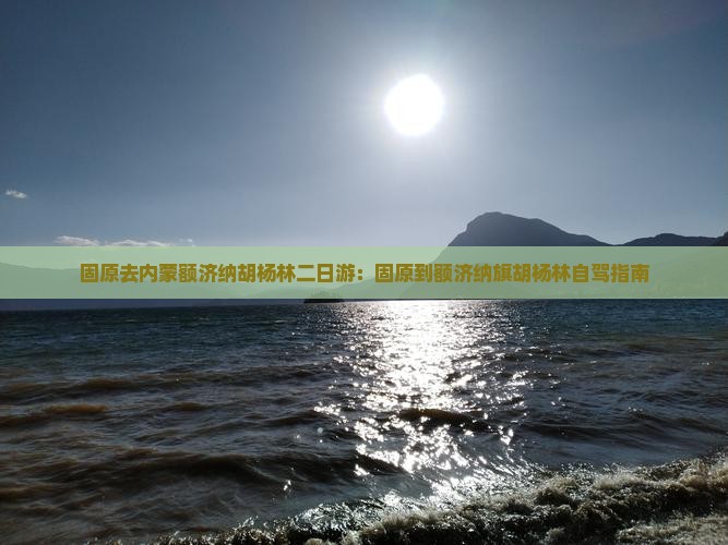 固原去内蒙额济纳胡杨林二日游：固原到额济纳旗胡杨林自驾指南