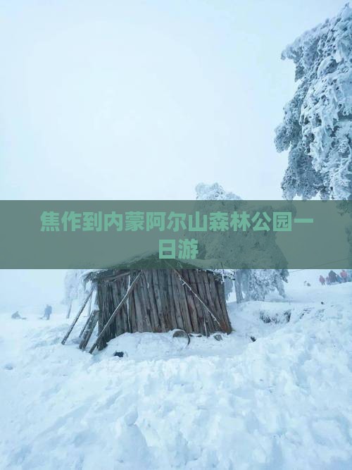 焦作到内蒙阿尔山森林公园一日游
