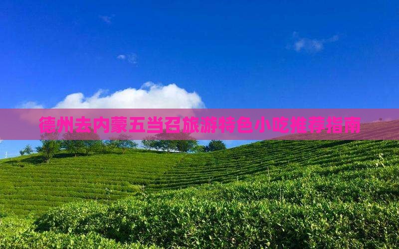 德州去内蒙五当召旅游特色小吃推荐指南