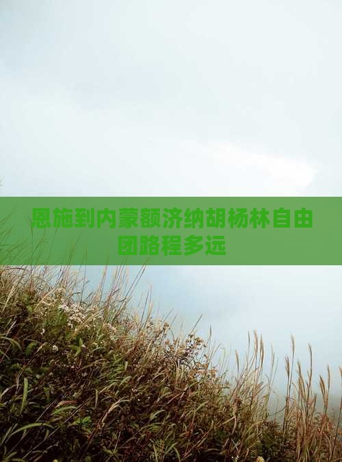 恩施到内蒙额济纳胡杨林自由团路程多远