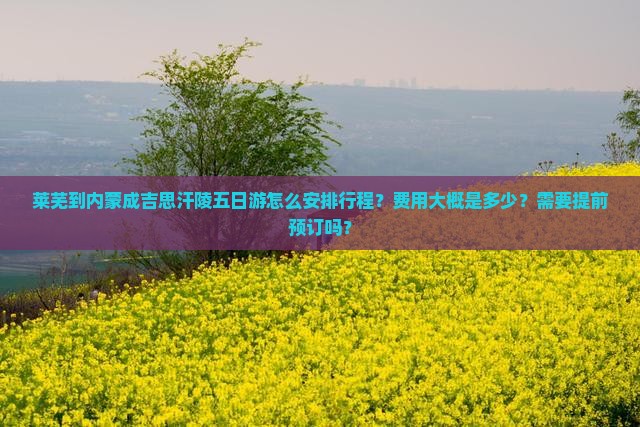 莱芜到内蒙成吉思汗陵五日游怎么安排行程？费用大概是多少？需要提前预订吗？