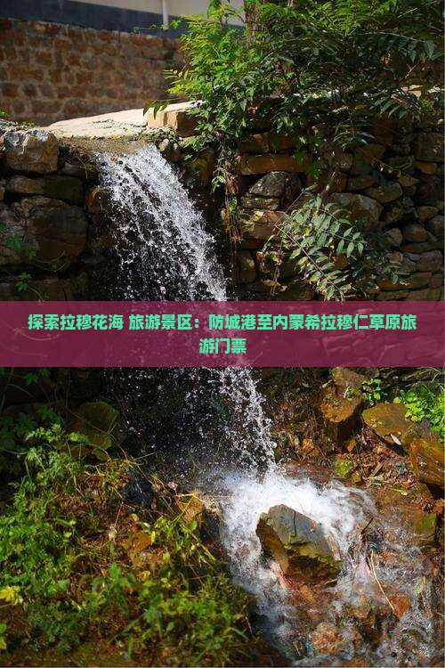 探索拉穆花海 旅游景区：防城港至内蒙希拉穆仁草原旅游门票