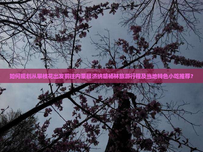 如何规划从攀枝花出发前往内蒙额济纳胡杨林旅游行程及当地特色小吃推荐？
