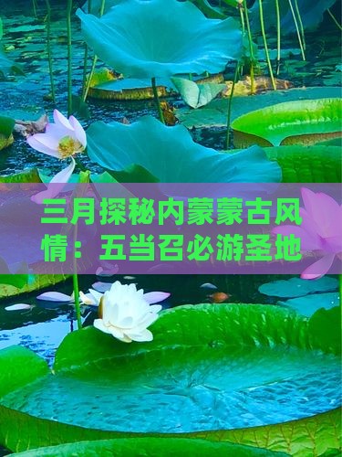 三月探秘内蒙蒙古风情：五当召必游圣地
