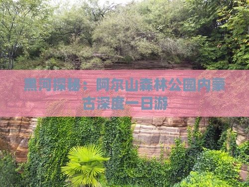 黑河探秘：阿尔山森林公园内蒙古深度一日游
