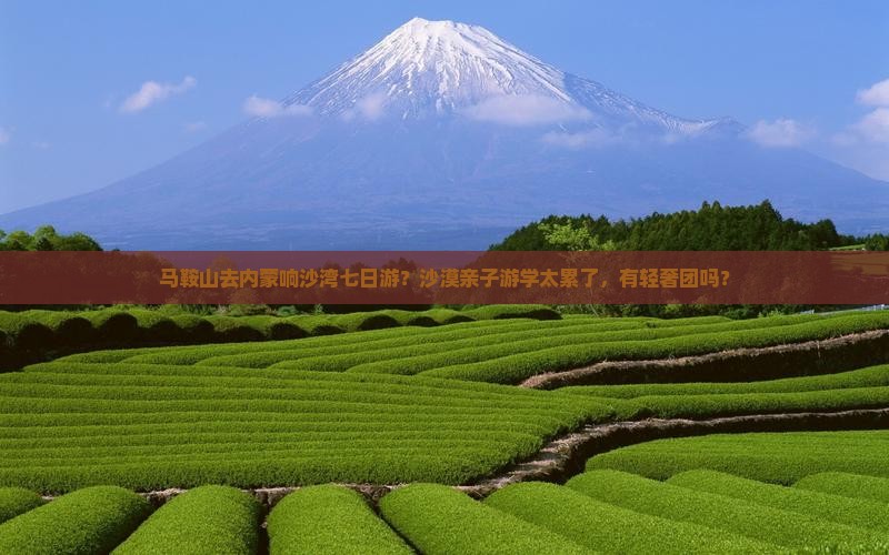 马鞍山去内蒙响沙湾七日游？沙漠亲子游学太累了，有轻奢团吗？