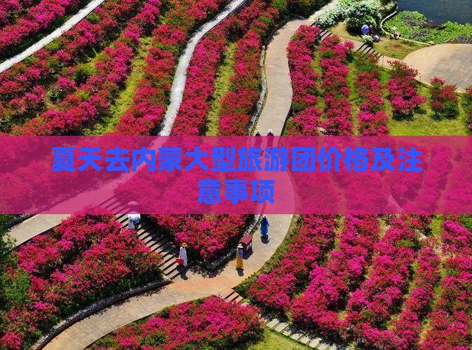 夏天去内蒙大型旅游团价格及注意事项