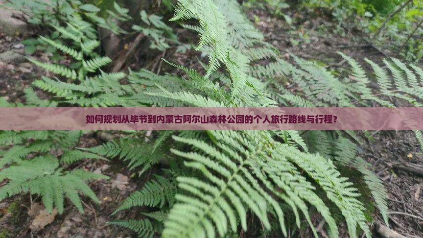 如何规划从毕节到内蒙古阿尔山森林公园的个人旅行路线与行程？