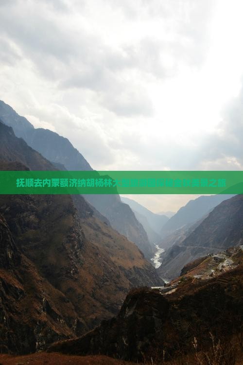 抚顺去内蒙额济纳胡杨林大型旅游团探秘金秋美景之旅