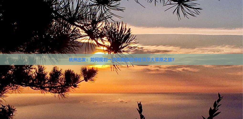 杭州出发：如何规划一次完美四日呼伦贝尔大草原之旅？