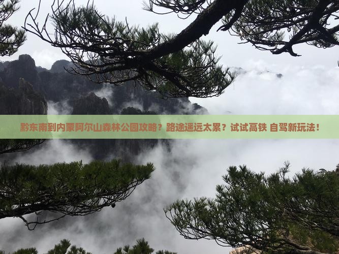 黔东南到内蒙阿尔山森林公园攻略？路途遥远太累？试试高铁+自驾新玩法！