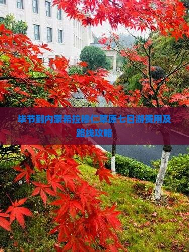 毕节到内蒙希拉穆仁草原七日游费用及路线攻略