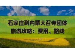 石家庄到内蒙大召寺团体旅游攻略：费用、路线、自驾游全解析