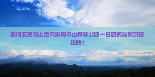 如何实现鞍山至内蒙阿尔山森林公园一日游的高效游玩攻略？