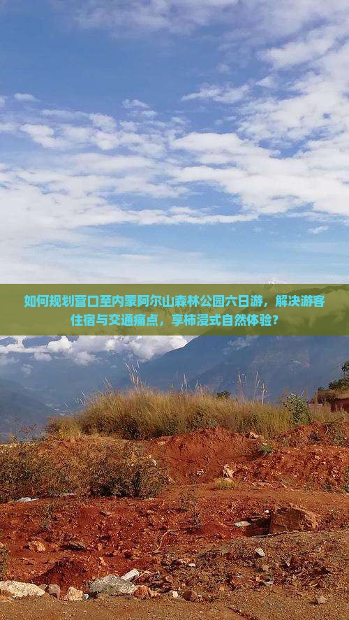 如何规划营口至内蒙阿尔山森林公园六日游，解决游客住宿与交通痛点，享柿浸式自然体验？