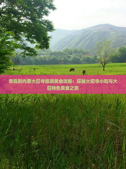 青岛到内蒙大召寺旅游美食攻略：探秘大昭寺小吃与大召特色美食之旅