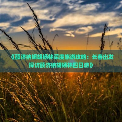 《额济纳旗胡杨林深度旅游攻略：长春出发探访额济纳胡杨林四日游》