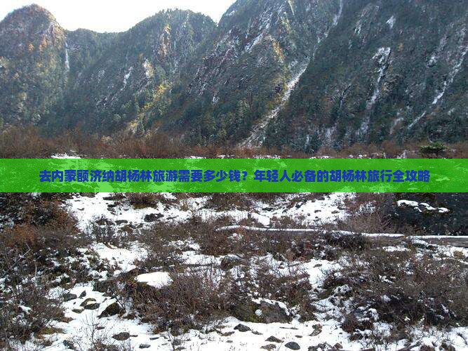 去内蒙额济纳胡杨林旅游需要多少钱？年轻人必备的胡杨林旅行全攻略