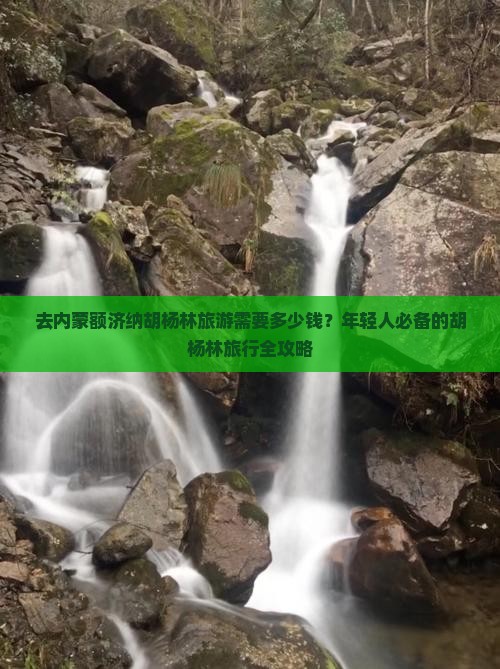 去内蒙额济纳胡杨林旅游需要多少钱？年轻人必备的胡杨林旅行全攻略