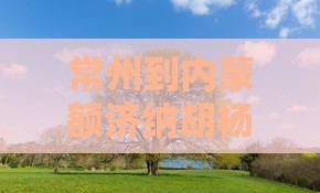 常州到内蒙额济纳胡杨林双飞8日自由行