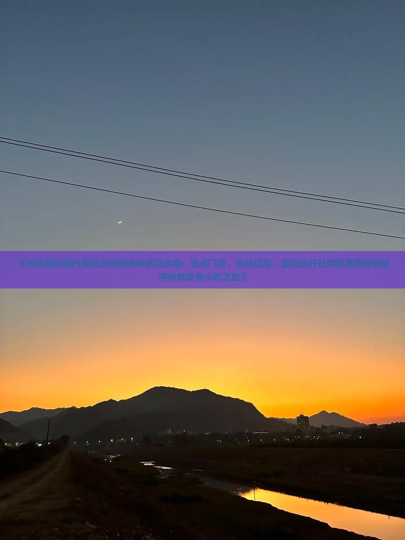 《黔西南探秘内蒙额济纳胡杨林旅游攻略：景点门票、路线信息，国际旅行社带你看看新疆额济纳旗美食小吃之旅》