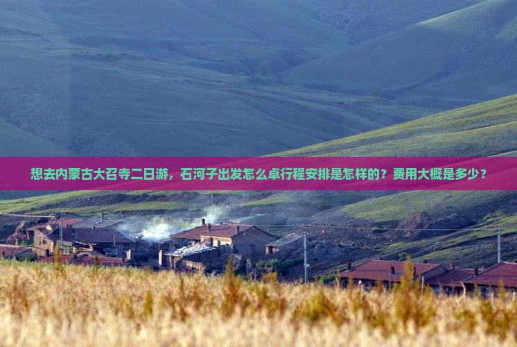 想去内蒙古大召寺二日游，石河子出发怎么卓行程安排是怎样的？费用大概是多少？