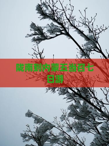陇南到内蒙五当召七日游