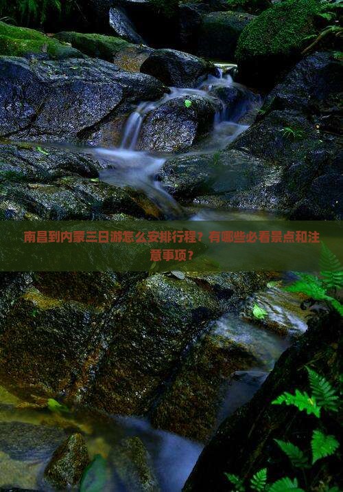 南昌到内蒙三日游怎么安排行程？有哪些必看景点和注意事项？