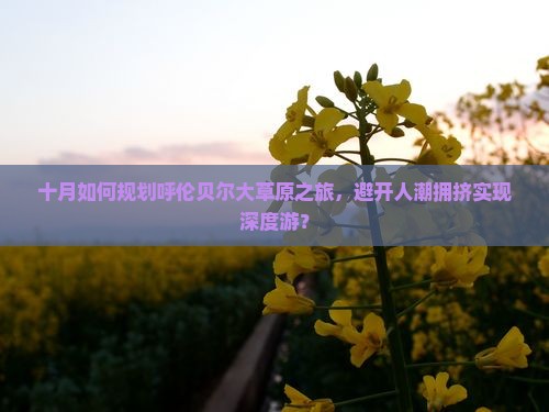 十月如何规划呼伦贝尔大草原之旅，避开人潮拥挤实现深度游？
