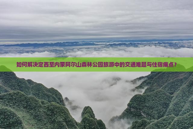 如何解决定西至内蒙阿尔山森林公园旅游中的交通难题与住宿痛点？