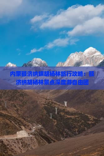 内蒙额济纳旗胡杨林旅行攻略：额济纳胡杨林景点深度游自由团