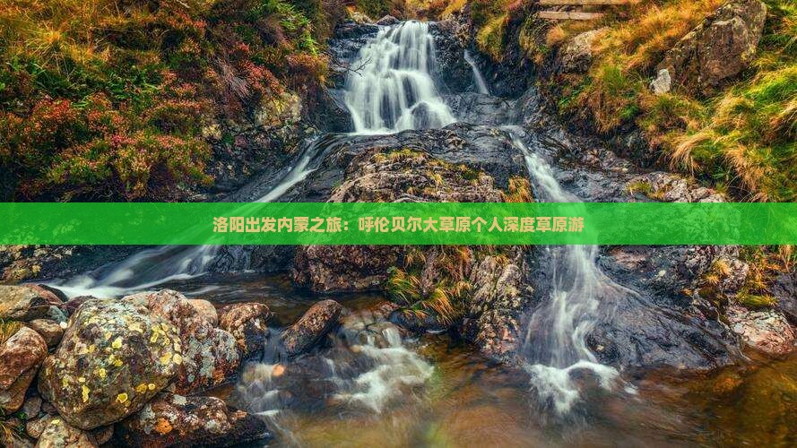洛阳出发内蒙之旅：呼伦贝尔大草原个人深度草原游