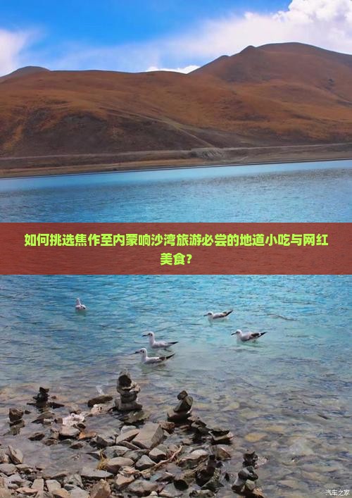 如何挑选焦作至内蒙响沙湾旅游必尝的地道小吃与网红美食？