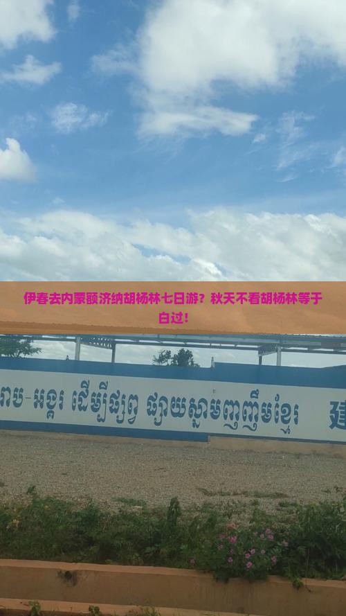 伊春去内蒙额济纳胡杨林七日游？秋天不看胡杨林等于白过！