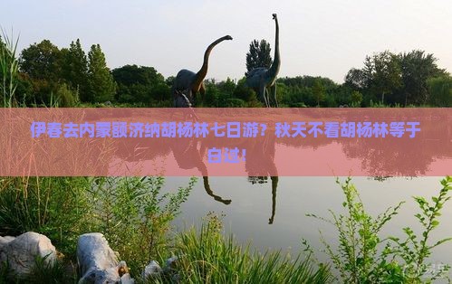 伊春去内蒙额济纳胡杨林七日游？秋天不看胡杨林等于白过！