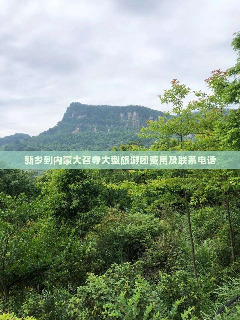 新乡到内蒙大召寺大型旅游团费用及联系电话