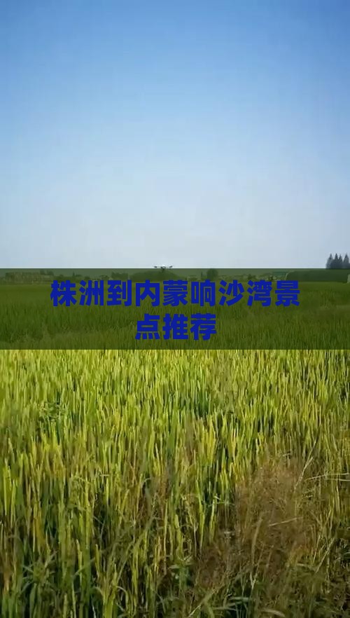 株洲到内蒙响沙湾景点推荐