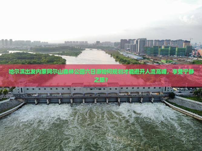 哈尔滨出发内蒙阿尔山森林公园六日游如何规划才能避开人流高峰，享受宁静之旅？
