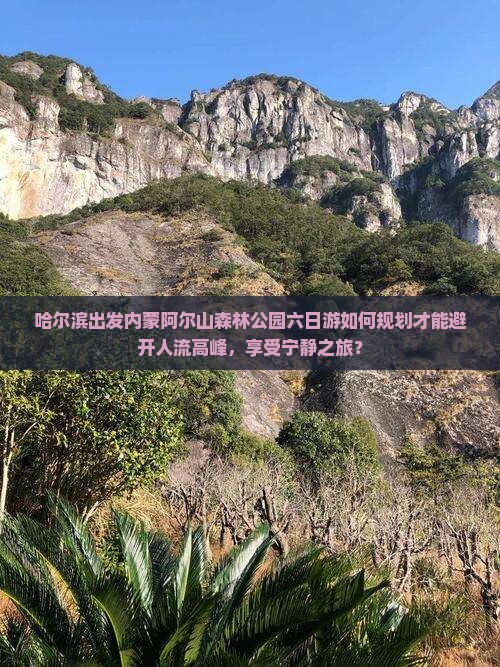 哈尔滨出发内蒙阿尔山森林公园六日游如何规划才能避开人流高峰，享受宁静之旅？